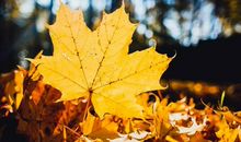 看透了人心社会的现实的句子