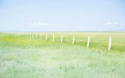 11.如果世界上没有人将来想要您，您必须记住，仍然还有我，我也不想要您！