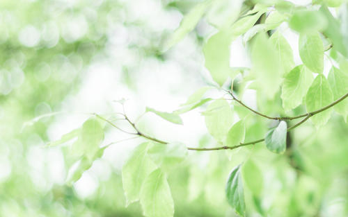 表示工作上不开心的句子 1