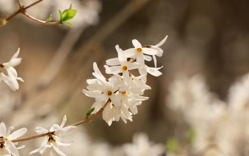 表示工作上不开心的句子 2