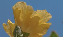 45句现实毒鸡汤 看完恍然大悟的现实语录