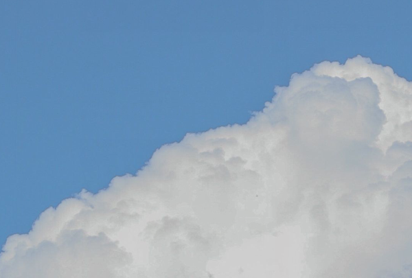 45句现实毒鸡汤 看完恍然大悟的现实语录 1