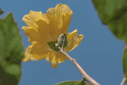 45句现实毒鸡汤 看完恍然大悟的现实语录 2