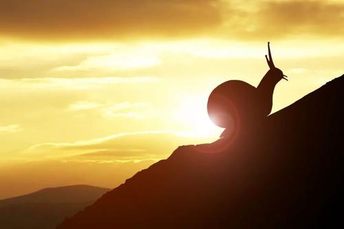 北大学生的座右铭 1