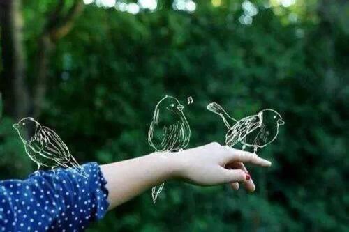 12. Shu球突然突然左右来回跳动，在杉杉的身前上下跳跃，杉杉有时转向这一侧，有时转向另一侧，紧跟着following球，眼睛总是随with而动。