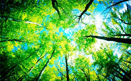 10.莹莹弯腰并伸展腿部，,子牢牢地落在她的脚上，就像被磁铁吸引一样。