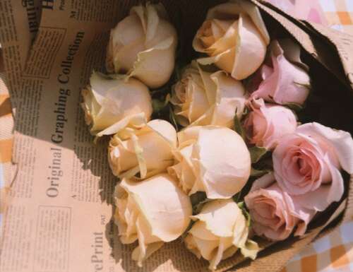 五月唯美句子大全 关于五月的可爱文案短句 2