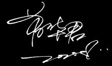 关于流年的个性签名