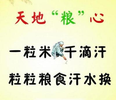 勤奋节俭的名言