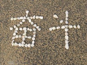 努力和学习的正能量句子