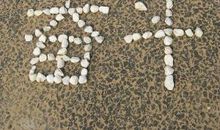 勤奋好学的正能量句子