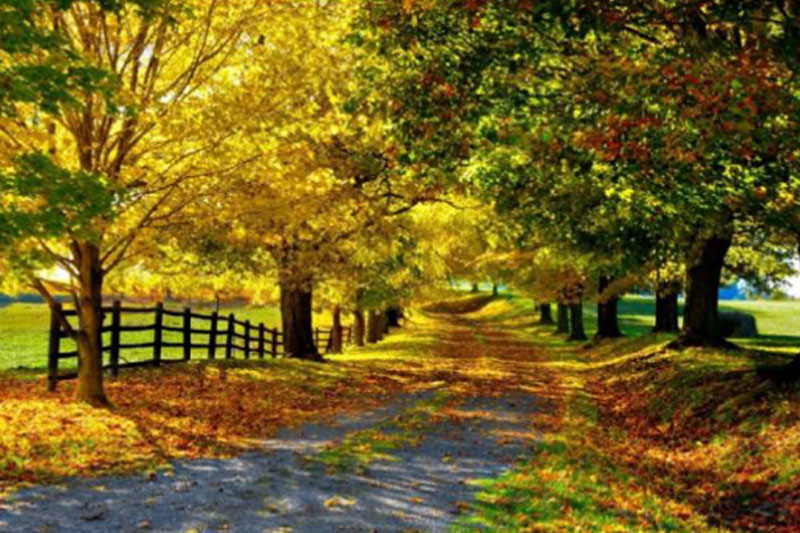 9.下班后去市场，回到厨房，洗碗做饭，忙一顿饭；消费不是高端，钱存放在银行里，平常日子长久；忙于家，生活总是很忙，并且承担着家族生意。多休息，好好照顾自己！