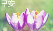 每天早上好心情的句子