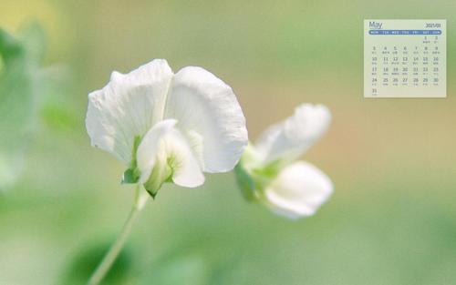 11.有些人可能一生都不能穿得体的衣服和高档豪宅。他们的生活痛苦而累人,但他们认为自己可以给家人更多的保护,他们的内心充满满足和幸福。