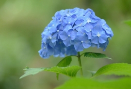 12.永远无法想象母亲会为自己的孩子,疲倦,艰辛甚至生活做些什么……孩子,只要有你,母亲是无所不能且无敌的!