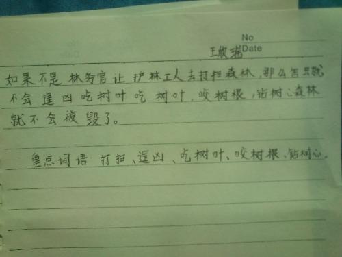 经典优美的句子