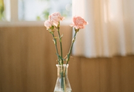 11.看到这一幕，我很高兴在地面上翻滚，大声笑着大喊，du拍了拍手，了脚。