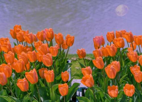 经典唯美的浪漫句子 幸福唯美的爱情句子 1