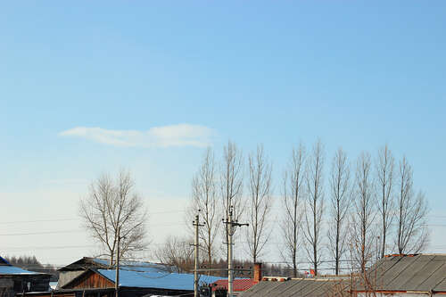 51,娇子像个杀人犯,坚持孝子。