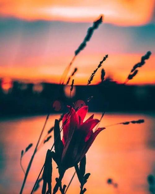 9.当您不爱他时，他将成为您关系中的一个问题。反之亦然。