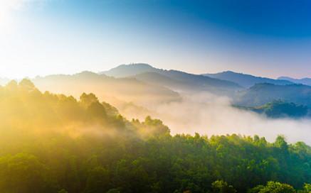 15.没有热情就没有智力，没有知识就没有热情。如果没有勤奋，就没有热情和才能的结合。 - 约瑟夫