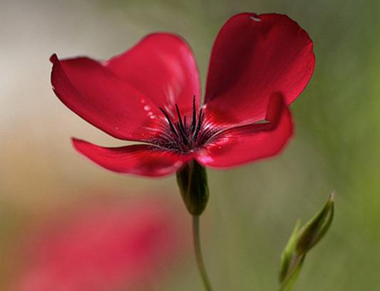 自信而霸气的座右铭2