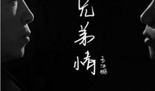 赞美兄弟亲情的句子大全