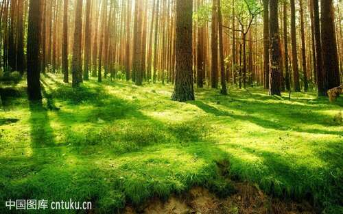 大自然的座右铭2