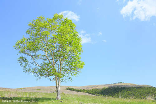 大自然的座右铭1