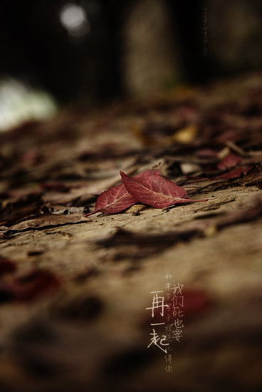 经典英文爱情语录