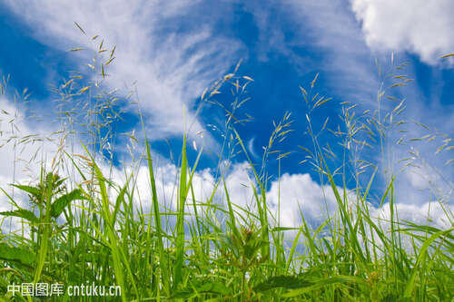 大自然的座右铭