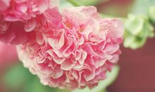 亲情最有哲理的句子