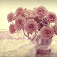 成长与亲情的句子 2