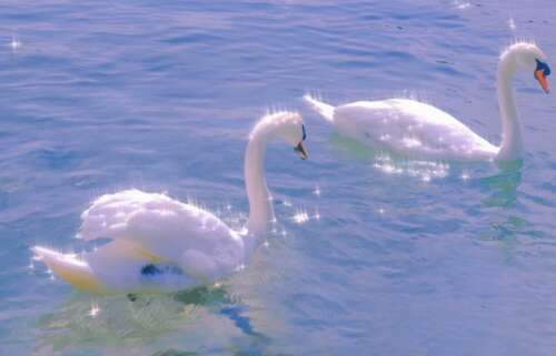 经典唯美的浪漫句子 幸福唯美的爱情句子 2