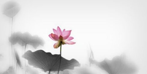 15.没有注定的结局，只有没有足够努力的过程。