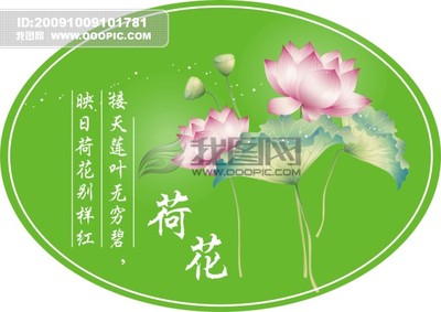 描写荷花的唯美句子