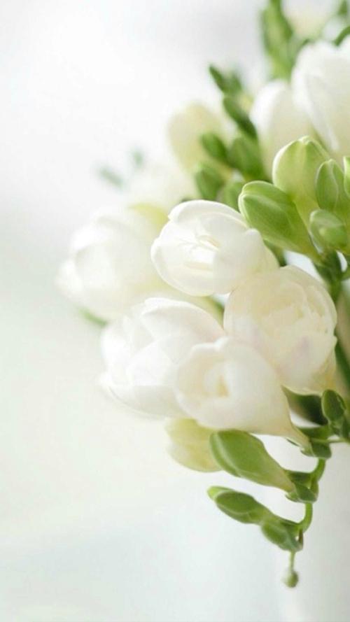 久违了的亲情的句子