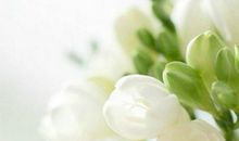 久违了的亲情的句子