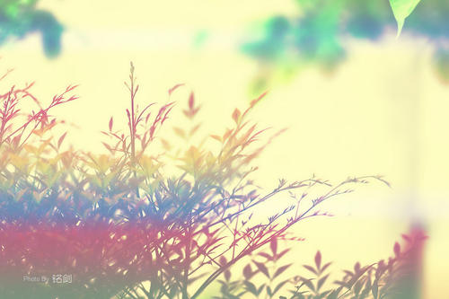 关于亲情的霸气句子说说心情