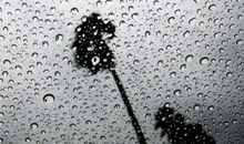 形容阴雨天的句子