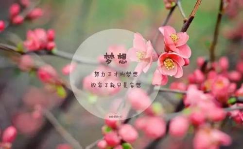 早上好心情行情