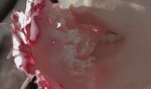 抖音里说到心坎里的文字 句句走心