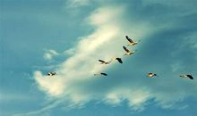 表达下雪很开心的句子 表达下雪后的心情