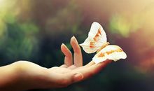 温柔温暖的抒情句子