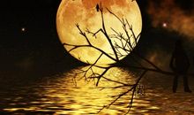 思念家乡的诗句