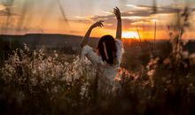 恭维人的文艺句子