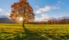 带有开心的词和句子有哪些 关于开心的好词好句有哪些