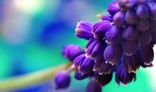 在这个忧伤而明媚的三月