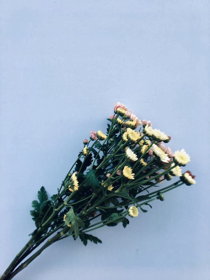 11.我每天都在数着你的微笑,但是当你甚至微笑的时候,你是如此寂寞。他们说你的笑容美丽而无法阻挡。