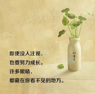 哲学报价的个性化签名